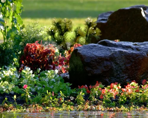 close-up-decorative-stone-and-colorful-flowers-2026-03-09-06-09-00-utc