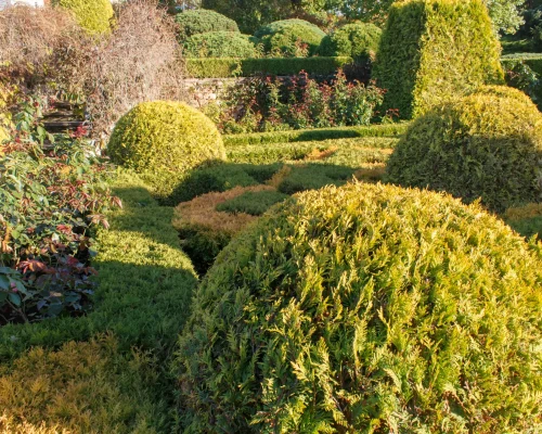 cottage-garden-with-topiary-and-trimmed-bushes-2026-03-09-02-52-34-utc