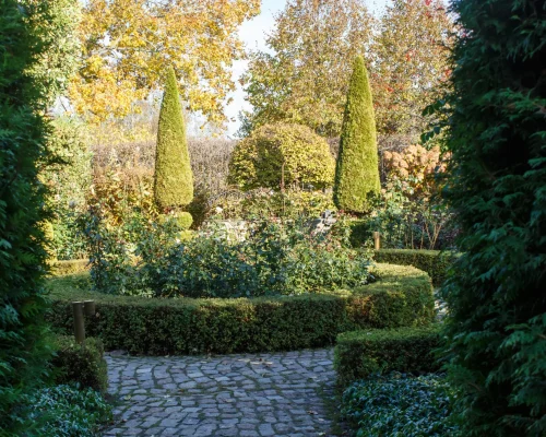 cottage-garden-with-topiary-and-trimmed-bushes-2026-03-23-23-51-53-utc