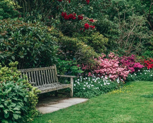 garden-with-blooming-trees-during-spring-time-2026-01-08-00-13-08-utc